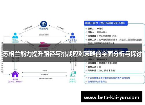 苏格兰能力提升路径与挑战应对策略的全面分析与探讨