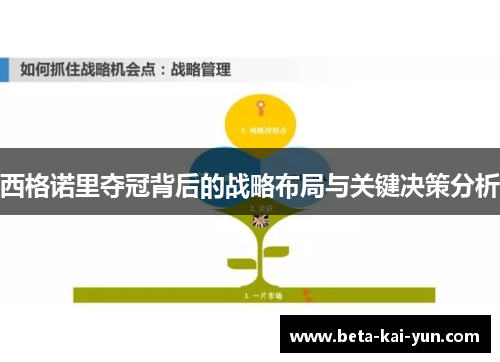 西格诺里夺冠背后的战略布局与关键决策分析