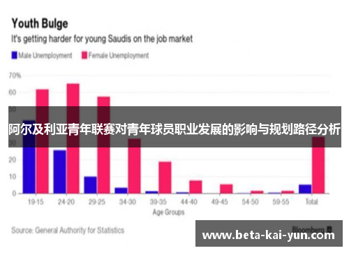阿尔及利亚青年联赛对青年球员职业发展的影响与规划路径分析 阿尔及利亚青年联赛对青年球员职业发展的影响与规划路径分析